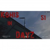 DayZ 51