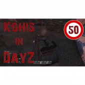 DayZ 50