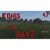 DayZ 47