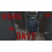 DayZ 44