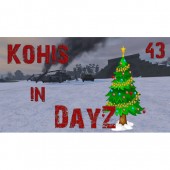 DayZ 43